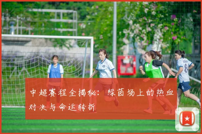 中超赛程全揭秘：绿茵场上的热血对决与命运转折