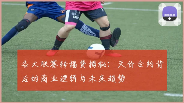 各大联赛转播费揭秘:天价合约背后的商业逻辑与未来趋势