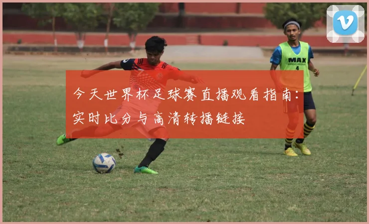 今天世界杯足球赛直播观看指南:实时比分与高清转播链接