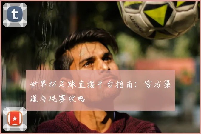 世界杯足球直播平台指南:官方渠道与观赛攻略