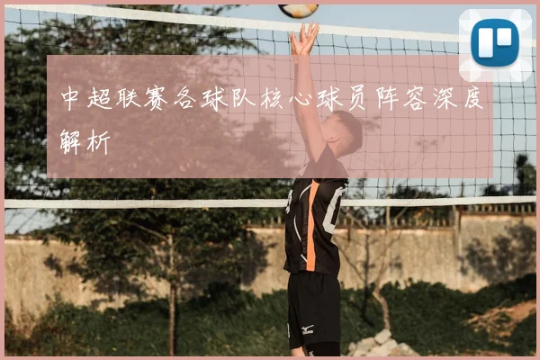 中超联赛各球队核心球员阵容深度解析
